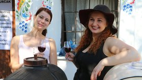 Cíl Pochodu slováckými vinohrady byl v Prušánkách, kde na turisty čekalo lákavé občerstvení.