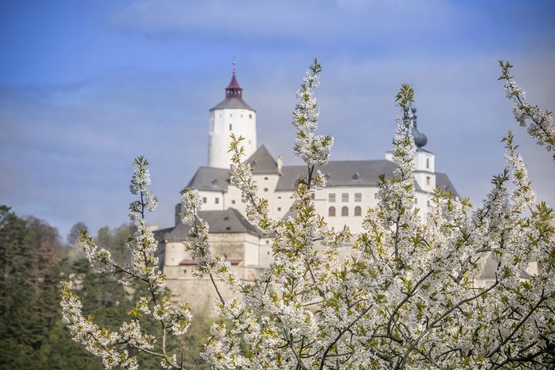 Burg Forchtenstein