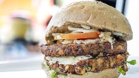 Vegetariánské burgery a párky jsou moc zavádějící. Ve Francii se tyto termíny budou moci používat jen v souvislosti s masem