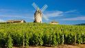 Vinice v Burgundách