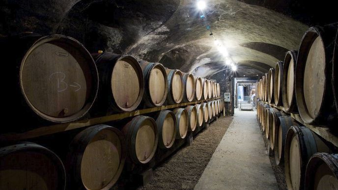 Vinný sklípek v Burgundách