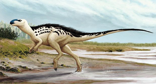 Dinosauři z Česka: Megaplazi za domem