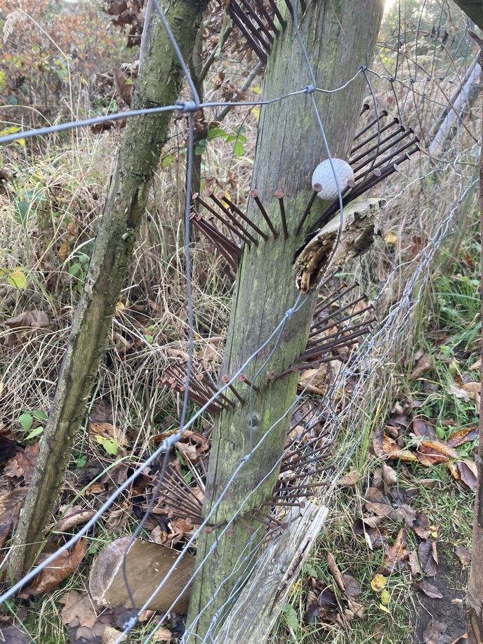 Kuličkovna na Burkováku vznikla v roce 2020. Kuličkovna na Burkováku vznikla v roce 2020.