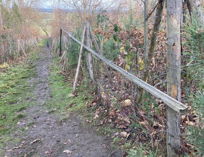 Kuličková dráha vede z vrchu Burkovák. Kuličková dráha vede z vrchu Burkovák.