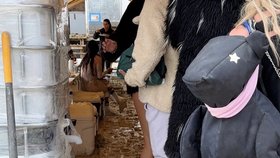 Americký festival Burning man (Hořící muž) narušil silný déšť