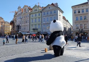 Čínská panda provedla invazi na Staroměstské náměstí.