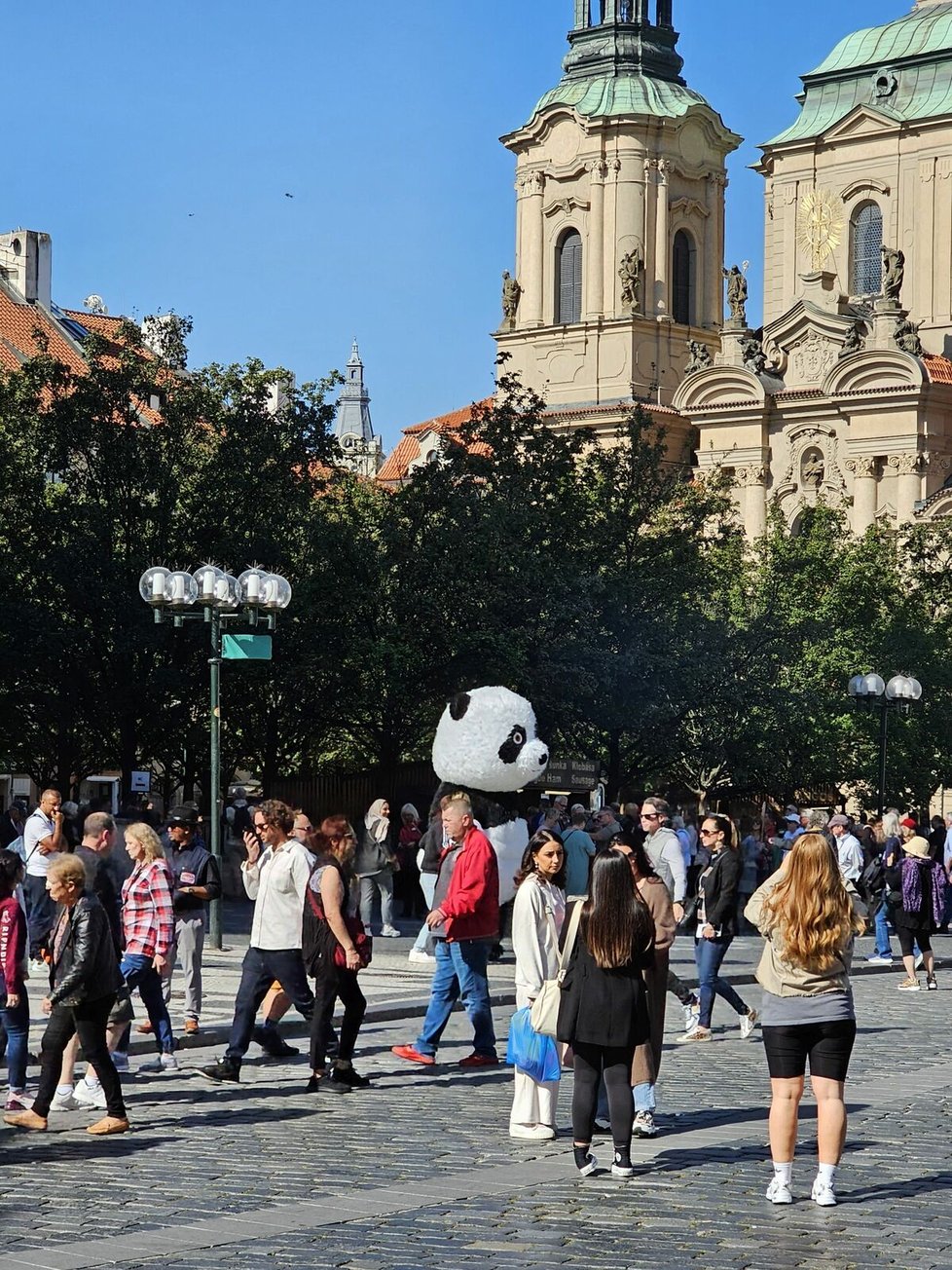 Panda v centru Prahy je jako pěst na oko.