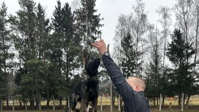 Novou policejní posilou v České Lípě je štěně německého ovčáka jménem Butch