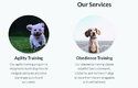 butternut.ai: Moje imaginární firma „ABC psích sportů“ má nový web, rovnou i s nápady, jaké sporty bychom mohli trénovat