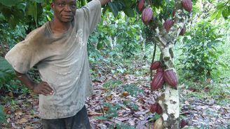 Udržitelné ochutnávání Ugandy aneb Poctivá káva přímo od zdroje