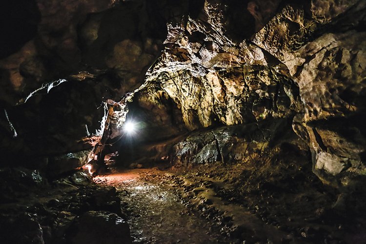V jeskyni Býčí skála čekala na roboty z ČVUT tma i téměř stoprocentní vlhkost