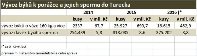 Vývoz českých býků na porážku a jejich sperma do Turecka