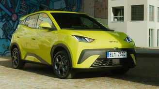 BYD Dolphin Surf BYD Dolphin Surf