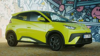 BYD Dolphin Surf BYD Dolphin Surf