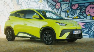 BYD Dolphin Surf BYD Dolphin Surf