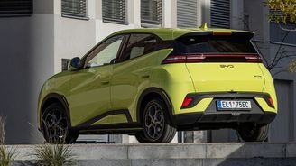 BYD Dolphin Surf BYD Dolphin Surf