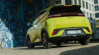 BYD Dolphin Surf BYD Dolphin Surf