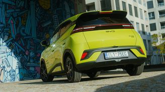 BYD Dolphin Surf BYD Dolphin Surf