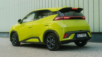 BYD Dolphin Surf BYD Dolphin Surf