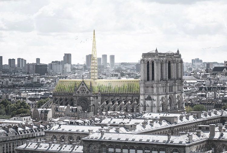 Jeden z projektů na obnovu katedrály Notre-Dame počítá s proměnou střechy na skleník. Z věže by se stal obří včelín se stovkami včelstev