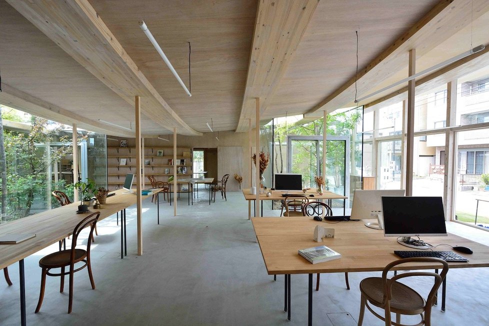 Architekti pro sebe navrhli originální kancelář. Zdobí ji i vzrostlé stromy