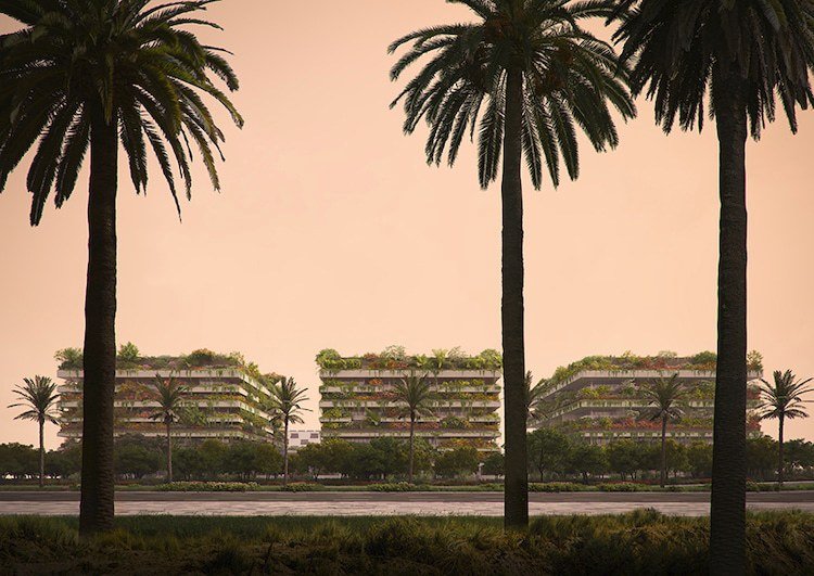 Na výchcod od Káhiry vyrostou tři výškové budovy plné zeleně