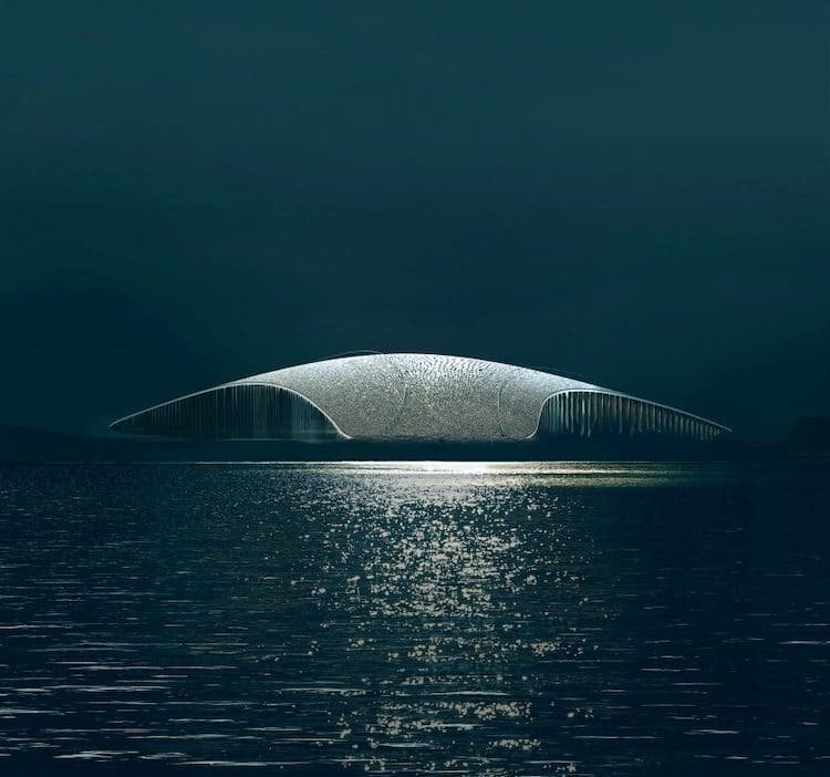 Za Polární kruh bude lákat budova ve tvaru obří velryby