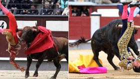 Býci vrací úder! V madridské aréně Las Ventas vyhráli nad matadory!