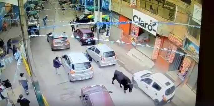Bezpečnostní kamera zachytila býka na útěku, který zranil 8 lidí.