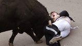 Na Jihlavsku napadl býk na jatkách zaměstnance: Muž je v kritickém stavu v nemocnici
