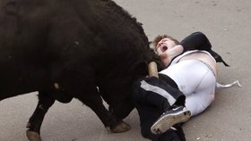 Na Jihlavsku napadl býk na jatkách zaměstnance: Muž je v kritickém stavu v nemocnici (ilustrační foto).