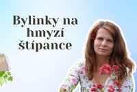Co na štípance od komára, vosy nebo včely? Objevte zázrak, který roste všude