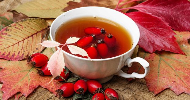 Čaj z plodů šípkové růže je nejen chutný, ale i zdravý. Musíte však vědět, jak ho správně připravit.