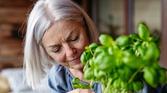 Na bolesti, spánek nebo stres? 5 obyčejných bylinek, které posilují zdraví Na bolesti, spánek nebo stres? 5 obyčejných bylinek, které posilují zdraví