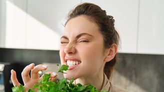 Bylinky vám vždycky zvadly? Osvědčený návod na pěstování v bytě Bylinky vám vždycky zvadly? Osvědčený návod na pěstování v bytě