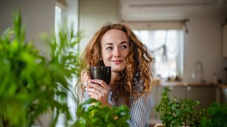 Jaké bylinky snadno vypěstujete v bytě? Tohle jsou favoriti Jaké bylinky snadno vypěstujete v bytě? Tohle jsou favoriti