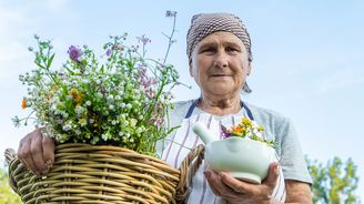 4 rady našich babiček, jak pěstovat bylinky posilující zdraví 4 rady našich babiček, jak pěstovat bylinky posilující zdraví