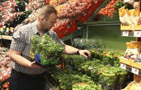 Odborník na výživu doporučuje: Jarní bylinky voní, chutnají a léčí