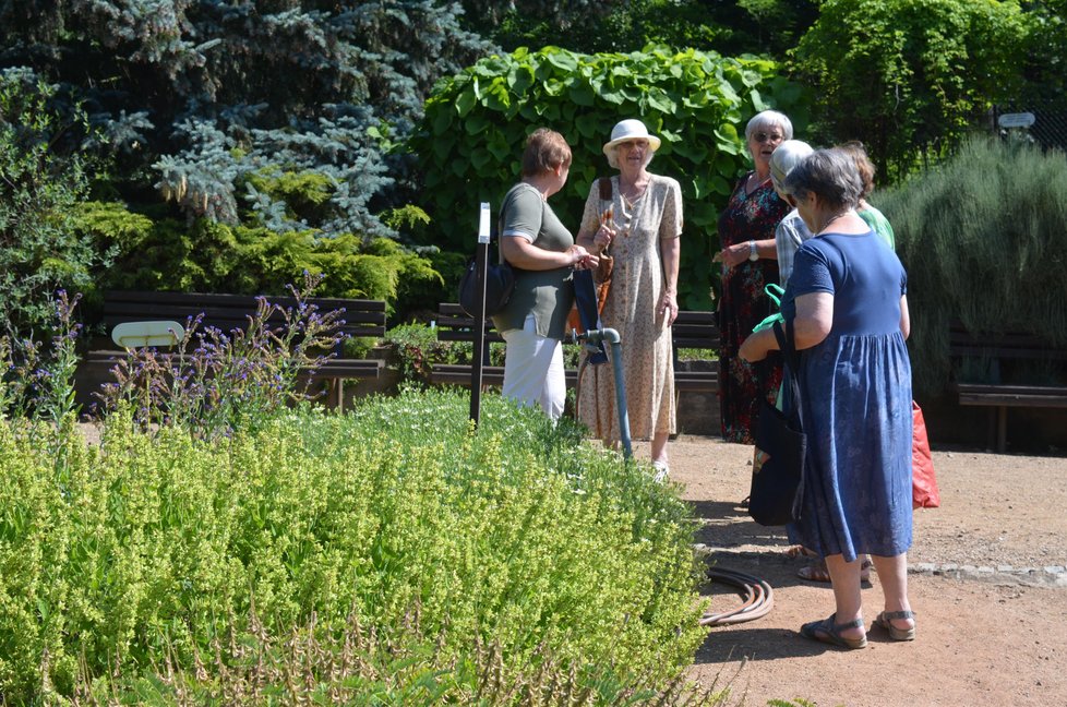 V Brně na Kraví hoře roste a kvete na ploše jednoho hektaru přes 800 druhů a odrůd léčivých, aromatických, kořeninových, tonizujících, ale i jedovatých domácích a cizokrajných rostlin a bylin.