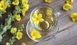 DIVIZNA VELKOKVĚTÁ. Připravte si čaj:  2 lžičky květů divizny spařte 250 ml vody a opět nechte zhruba 10 minut louhovat. Čaj popíjejte 3x denně. Po několika procedurách byste měli začít vykašlávat.