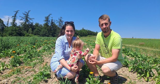 Manželé Anna a Lukáš Víchovi (31) z místní části Benkovice Hradce nad Moravicí na Opavsku právě zahájili samosběr na své bylinkové farmě.