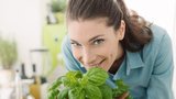 Velký bylinkový herbář: Která pomáhá na migrény, trávení nebo zvýší chuť na sex?