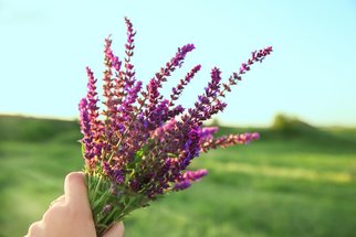 Nechcete brát léky? Vsaďte na nejlepší přírodní antibiotika podle bylinkářky 