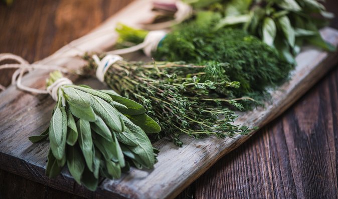 5 bylinek, které skvěle ochutí vaše jídlo a navíc prospívají zdraví
