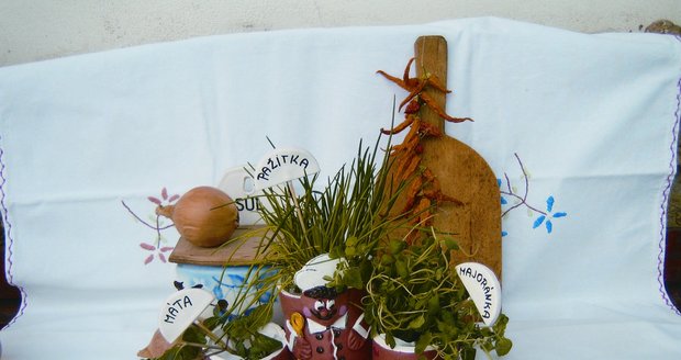 V příloze Báječné bylinky časopisu Blesk Hobby najdete i návod, jak si vyrobit na bylinky svého "kuchaříka".