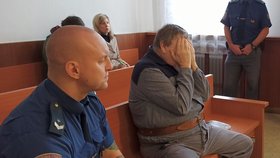 Lubomír Z. (68) z Bystřice na Frýdecko-Místecku přiznal u soudu vinu. V březnu čtyřikrát bodnul nožem syna Petra (44).