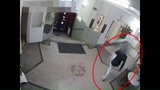 Věrný svému řemeslu: Sotva se recidivista vrátil z basy, vybílil osm bytů v Brně 