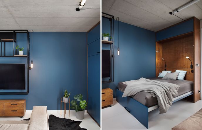 Byt Hadovitá Byt Hadovitá