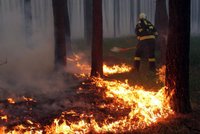 Hasiči už dostali pod kontrolu největší požár lesa za posledních 15 let v Bzenci na Hodonínsku