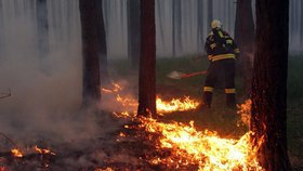 Nepřítelem zasahujících hasičů se stal i vítr, který opakovaně rozfoukával uhašené plochy